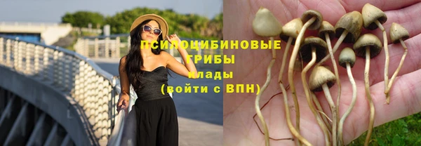 а пвп мука Елабуга