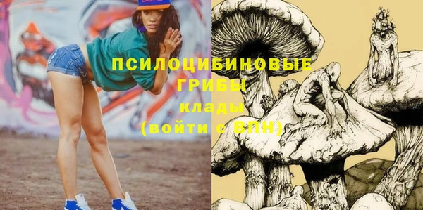 а пвп мука Елабуга