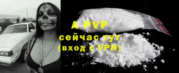 бошки Ельня