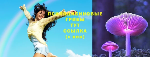 бошки Ельня