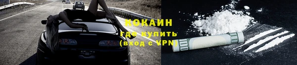 бошки Ельня