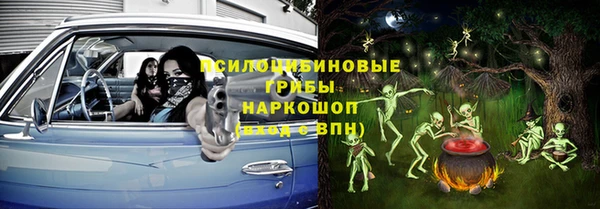 apvp Елизово