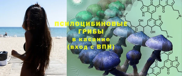 apvp Елизово